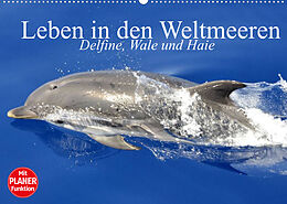 Kalender Leben in den Weltmeeren. Delfine, Wale und Haie (Wandkalender 2022 DIN A2 quer) von Elisabeth Stanzer