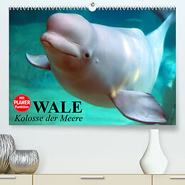 Kalender Wale. Kolosse der Meere (Premium, hochwertiger DIN A2 Wandkalender 2022, Kunstdruck in Hochglanz) von Elisabeth Stanzer