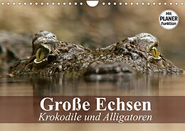 Kalender Große Echsen. Krokodile und Alligatoren (Wandkalender 2022 DIN A4 quer) von Elisabeth Stanzer