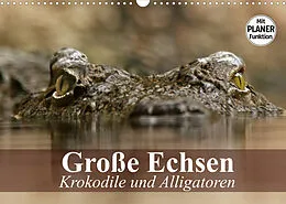 Kalender Große Echsen. Krokodile und Alligatoren (Wandkalender 2022 DIN A3 quer) von Elisabeth Stanzer