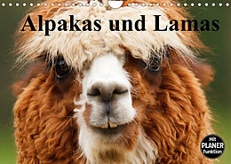 Kalender Alpakas und Lamas (Wandkalender 2022 DIN A4 quer) von Elisabeth Stanzer