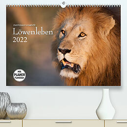 Kalender Emotionale Momente: Löwenleben (Premium, hochwertiger DIN A2 Wandkalender 2022, Kunstdruck in Hochglanz) von Ingo Gerlach GDT