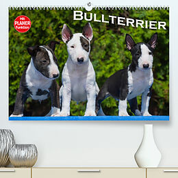 Kalender Bullterrier (Premium, hochwertiger DIN A2 Wandkalender 2022, Kunstdruck in Hochglanz) von Bullterrier