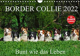 Kalender Border Collie 2022 (Wandkalender 2022 DIN A4 quer) von Sigrid Starick