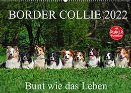 Kalender Border Collie 2022 (Wandkalender 2022 DIN A2 quer) von Sigrid Starick