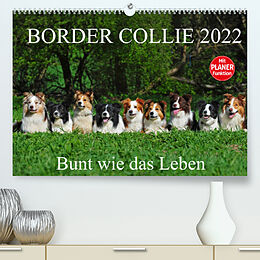 Kalender Border Collie 2022 (Premium, hochwertiger DIN A2 Wandkalender 2022, Kunstdruck in Hochglanz) von Sigrid Starick