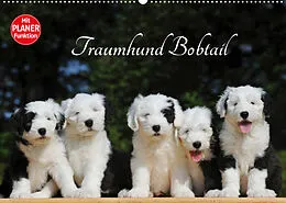 Kalender Traumhund Bobtail (Wandkalender 2022 DIN A2 quer) von Sigrid Starick