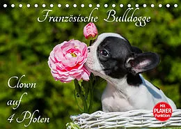 Kalender Französische Bulldogge - Clown auf 4 Pfoten (Tischkalender 2022 DIN A5 quer) von Sigrid Starick