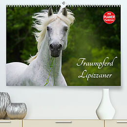 Kalender Traumpferd Lipizzaner (Premium, hochwertiger DIN A2 Wandkalender 2022, Kunstdruck in Hochglanz) von Sigrid Starick