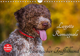 Kalender Lagotto Romagnolo - Italienischer Trüffelhund (Wandkalender 2022 DIN A4 quer) von Sigrid Starick