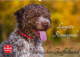 Kalender Lagotto Romagnolo - Italienischer Trüffelhund (Wandkalender 2022 DIN A2 quer) von Sigrid Starick