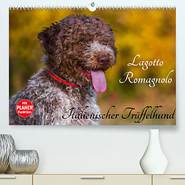 Kalender Lagotto Romagnolo - Italienischer Trüffelhund (Premium, hochwertiger DIN A2 Wandkalender 2022, Kunstdruck in Hochglanz) von Sigrid Starick