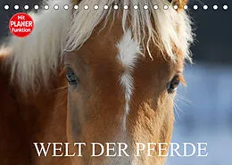 Kalender Welt der Pferde (Tischkalender 2022 DIN A5 quer) von Sigrid Starick