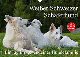 Kalender Weißer Schweizer Schäferhund - Ein Tag im Leben einer Hundefamilie (Wandkalender 2022 DIN A3 quer) von Sigrid Starick