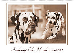 Kalender Farbenspiel der Hunderassen (Wandkalender 2022 DIN A2 quer) von Barbara Mielewczyk