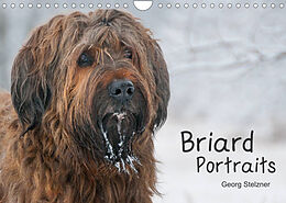 Kalender Briard Portraits (Wandkalender 2022 DIN A4 quer) von Georg Stelzner