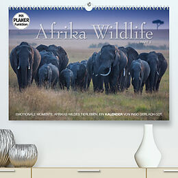Kalender Emotionale Momente: Afrika Wildlife. Part 3. (Premium, hochwertiger DIN A2 Wandkalender 2022, Kunstdruck in Hochglanz) von Ingo Gerlach GDT