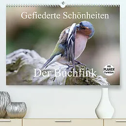 Kalender Gefiederte Schönheiten - Der Buchfink (Premium, hochwertiger DIN A2 Wandkalender 2022, Kunstdruck in Hochglanz) von Rolf Pötsch