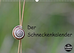 Kalender Der Schneckenkalender (Wandkalender 2022 DIN A3 quer) von Christine Schmutzler-Schaub