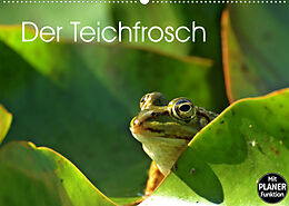Kalender Der Teichfrosch (Wandkalender 2022 DIN A2 quer) von Christine Schmutzler-Schaub