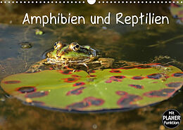 Kalender Amphibien und Reptilien (Wandkalender 2022 DIN A3 quer) von Christine Schmutzler-Schaub