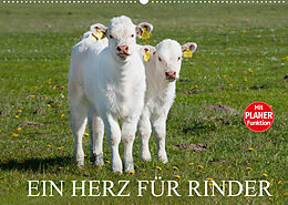 Kalender Ein Herz für Rinder (Wandkalender 2022 DIN A2 quer) von Sigrid Starick
