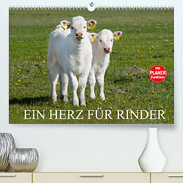 Kalender Ein Herz für Rinder (Premium, hochwertiger DIN A2 Wandkalender 2022, Kunstdruck in Hochglanz) von Sigrid Starick