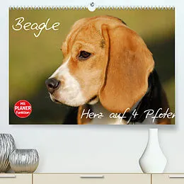 Kalender Beagle - Herz auf 4 Pfoten (Premium, hochwertiger DIN A2 Wandkalender 2022, Kunstdruck in Hochglanz) von Sigrid Starick
