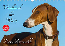 Kalender Windhund der Wüste - Der Azawakh (Wandkalender 2022 DIN A3 quer) von Sigrid Starick