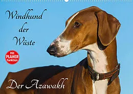 Kalender Windhund der Wüste - Der Azawakh (Wandkalender 2022 DIN A2 quer) von Sigrid Starick