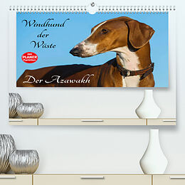 Kalender Windhund der Wüste - Der Azawakh (Premium, hochwertiger DIN A2 Wandkalender 2022, Kunstdruck in Hochglanz) von Sigrid Starick