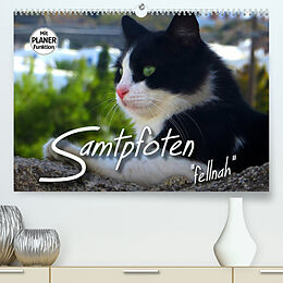 Kalender SAMTPFOTEN "fellnah" (Premium, hochwertiger DIN A2 Wandkalender 2022, Kunstdruck in Hochglanz) von Renate Bleicher