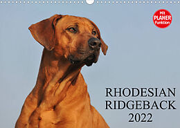Kalender Rhodesian Ridgeback 2022 (Wandkalender 2022 DIN A3 quer) von Sigrid Starick