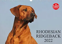 Kalender Rhodesian Ridgeback 2022 (Wandkalender 2022 DIN A3 quer) von Sigrid Starick