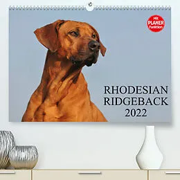 Kalender Rhodesian Ridgeback 2022 (Premium, hochwertiger DIN A2 Wandkalender 2022, Kunstdruck in Hochglanz) von Sigrid Starick