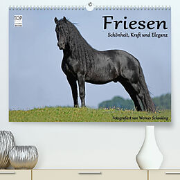 Kalender Friesen - Schönheit, Kraft und Eleganz (Premium, hochwertiger DIN A2 Wandkalender 2022, Kunstdruck in Hochglanz) von Werner Schmäing