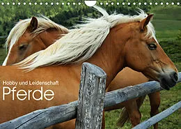 Kalender Pferde - Hobby und Leidenschaft (Wandkalender 2022 DIN A4 quer) von Georg Niederkofler