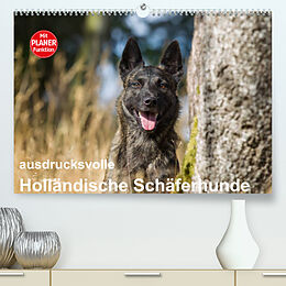 Kalender ausdrucksvolle Holländische Schäferhunde (Premium, hochwertiger DIN A2 Wandkalender 2022, Kunstdruck in Hochglanz) von Fotodesign Verena Scholze