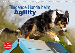 Kalender Fliegende Hunde beim Agility (Wandkalender 2022 DIN A4 quer) von Verena Scholze