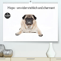 Kalender Mops - unwiderstehlich und charmant (Premium, hochwertiger DIN A2 Wandkalender 2022, Kunstdruck in Hochglanz) von Fotodesign Verena Scholze