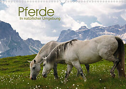 Kalender Pferde - In natürlicher Umgebung (Wandkalender 2022 DIN A3 quer) von Georg Niederkofler