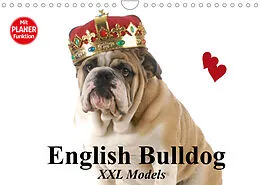 Kalender English Bulldog XXL Models (Wandkalender 2022 DIN A4 quer) von Elisabeth Stanzer
