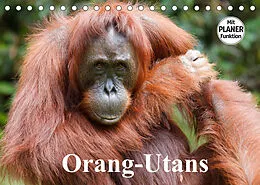 Kalender Orang-Utans (Tischkalender 2022 DIN A5 quer) von Elisabeth Stanzer
