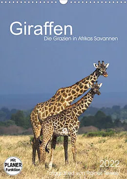 Kalender Giraffen - Die Grazien in Afrikas Savannen (Wandkalender 2022 DIN A3 hoch) von Rainer Tewes