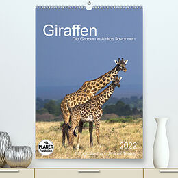 Kalender Giraffen - Die Grazien in Afrikas Savannen (Premium, hochwertiger DIN A2 Wandkalender 2022, Kunstdruck in Hochglanz) von Rainer Tewes