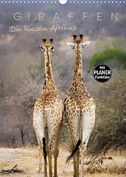 Kalender Giraffen - Die Riesen Afrikas (Wandkalender 2022 DIN A3 hoch) von Markus Pavlowsky Photography
