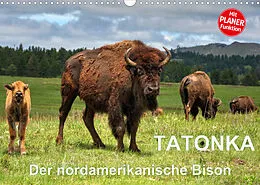 Kalender TATONKA Der nordamerikanische Bison (Wandkalender 2022 DIN A3 quer) von Dieter-M. Wilczek