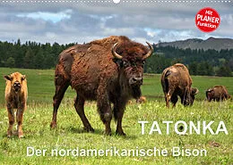 Kalender TATONKA Der nordamerikanische Bison (Wandkalender 2022 DIN A2 quer) von Dieter-M. Wilczek