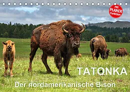 Kalender TATONKA Der nordamerikanische Bison (Tischkalender 2022 DIN A5 quer) von Dieter-M. Wilczek