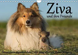Kalender Ziva und ihre Freunde (Wandkalender 2022 DIN A4 quer) von Werner Schmäing